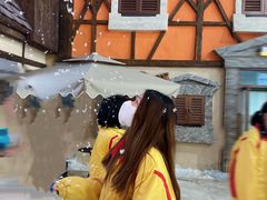 -世界之窗阿尔卑斯冰雪世界
