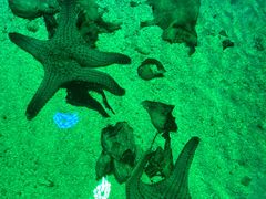 -正佳极地海洋世界