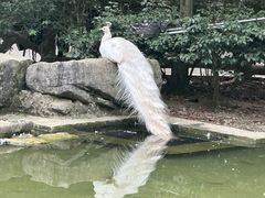 -黔灵山公园