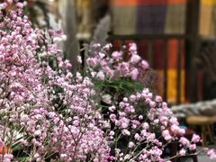 -馬蘭花開(车站大道店)