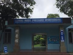 -广东惠东海龟国家级自然保护区