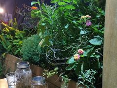 -曼乐辰餐厅(中庚漫游城店)