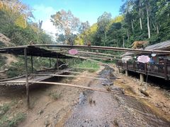 -西双版纳原始森林公园