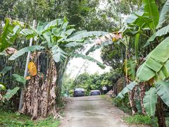 自有山地-彩虹桥宠物火化殡葬善终服务(金乐大厦店)