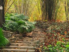 -晓港公园