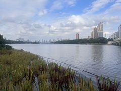 -南宁南湖公园