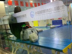 -小蓝鲸游泳培训基地(积水潭店)