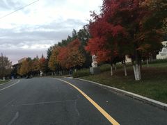 -长春世界雕塑园冰雪艺术天地