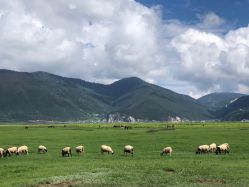 -纳帕海依拉草原