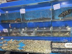 -云南巷海鲜大咖·可加工海鲜