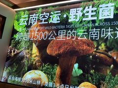 -野·大山里野生菌石锅土鸡(益田假日店)
