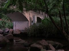 -重庆彩云湖湿地公园
