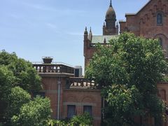 -上海佘山国家森林公园西佘山园