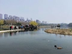 -前关湿地公园