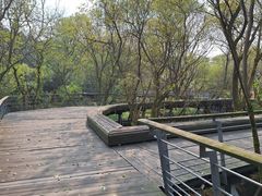 -西湖风景区-江洋畈生态公园
