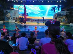 -三亚海昌梦幻海洋不夜城