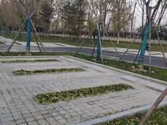 -汉长安城未央宫国家考古遗址公园