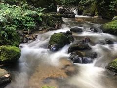 -莫里热带雨林景区