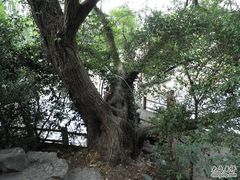-汇龙潭