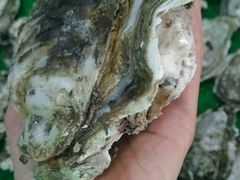 -大富蚝乌东哥饭店·石锅鱼杂·柠檬鸭(革新路店)