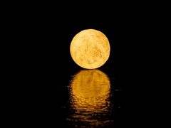 -川人百味(亿合城店)