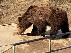 -宿豫区运河湾森林动物园