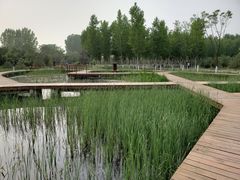 -东郊湿地公园