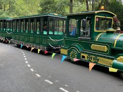 -东平国家森林公园