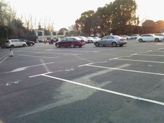 -大宁郁金香公园-停车场