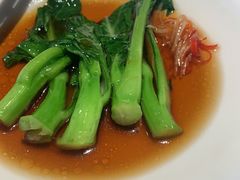 玉琅玕-觀芷隐轩