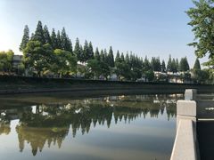 -嘉定紫藤园