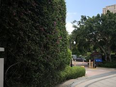 -三亚凤凰水城凯莱度假酒店