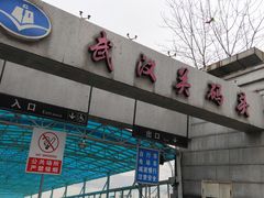 -武汉关码头(轮渡站)