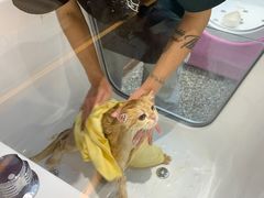 -FAELING PETS美天灵宠物(富力广场店)