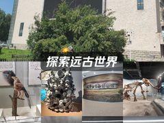 -辽宁古生物博物馆