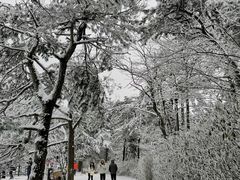 -庐山风景区花径公园