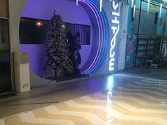 -白梧桐·团建聚会·百人轰趴馆(留仙洞店)