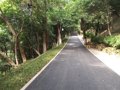 -龟山风景区-龟山电视塔