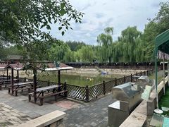 -尚庄度假村·庭台树下·户外烧烤·团建CS·轰趴营地(上庄水库店)