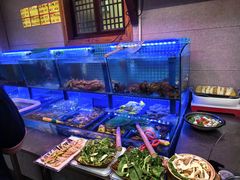 -老家黄墩小错鸡·活海鲜