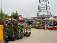 -中环花鸟鱼虫市场