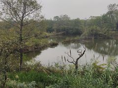 -木守西溪溪隐餐厅