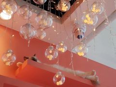 -藏猫猫咖啡主题馆(中央大道店)