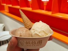 -极拉图·现制冰淇淋(梅溪湖新天地步步高店)