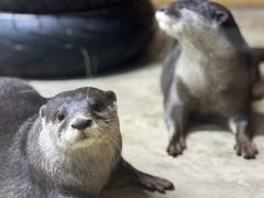 -太平洋海底世界