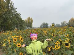 -汉长安城未央宫国家考古遗址公园