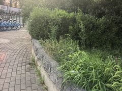 -清真马杰山牛肉汤馆