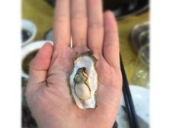 -蚝专家(北滘店)