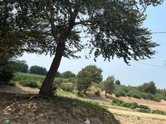 -银沙湾旅游区-好汉坡停车场