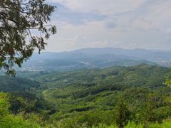 -磬锤峰森林公园